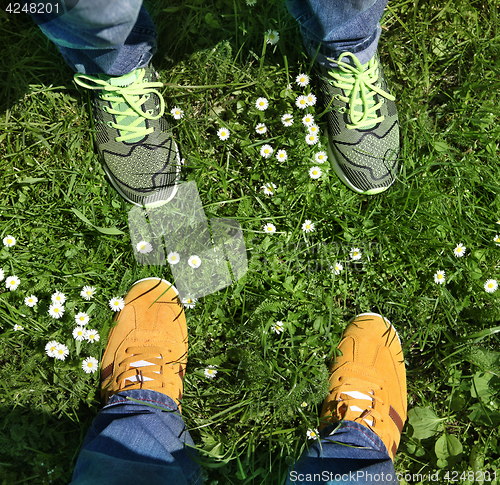 Image of sports shoes on green grass