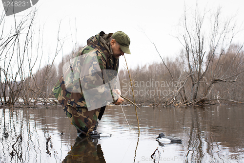 Image of hunter puts stuffed ducks