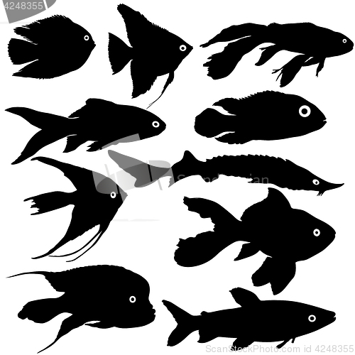 Image of Black set silhouette of aquarium fish on white background