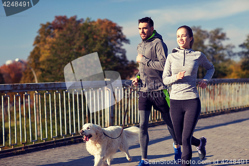 Image of happy couple with dog running outdoors