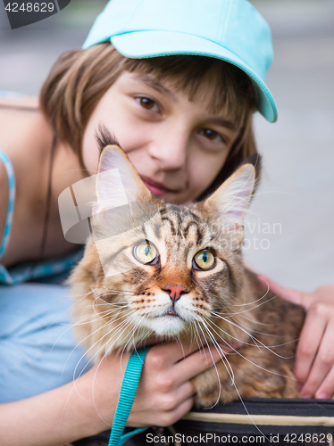 Image of Maine Coon on grass in garden