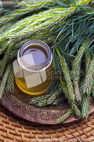 Image of syrup made of pine