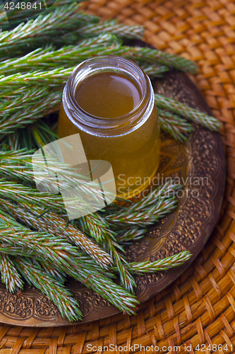 Image of syrup made of pine