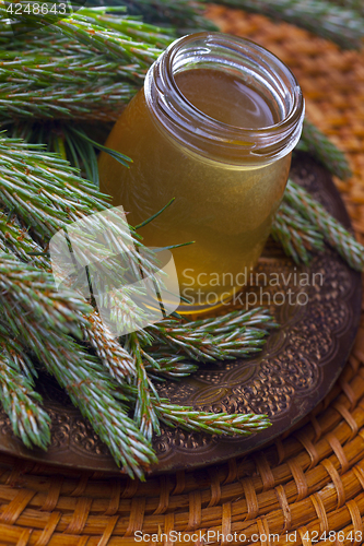 Image of syrup made of pine