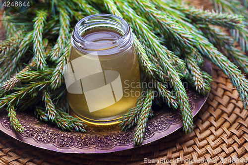 Image of syrup made of pine