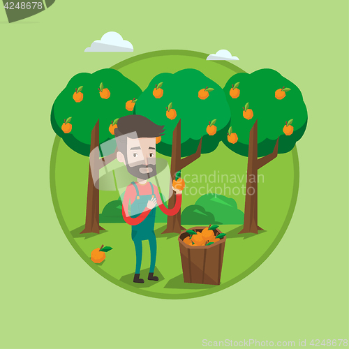 Image of Farmer collecting oranges vector illustration.