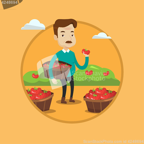 Image of Farmer collecting tomatos vector illustration.