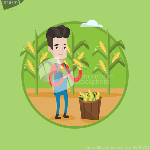 Image of Farmer collecting corn vector illustration.