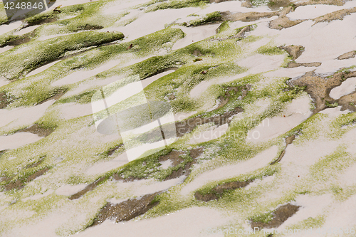 Image of close up of stone or volcanic rock with sand