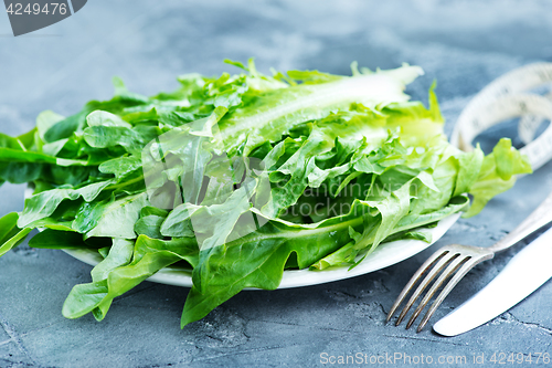 Image of rucola