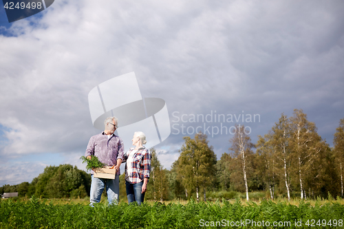 Image of senior couple with box picking carrots on farm