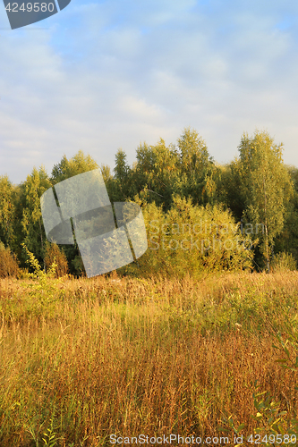 Image of Autumn landscape