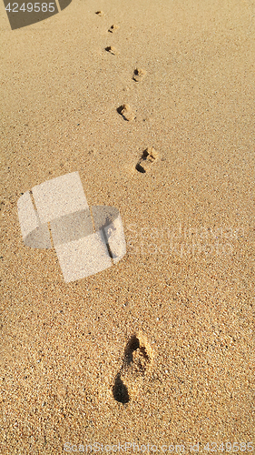 Image of Footprints in the sand