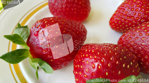Image of Ripe strawberries on ceramic plate