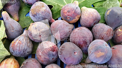 Image of Fresh figs close-up