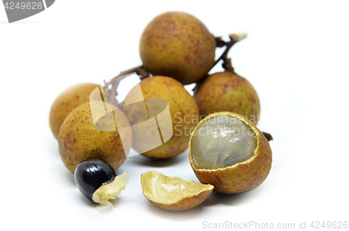 Image of Longan on white background