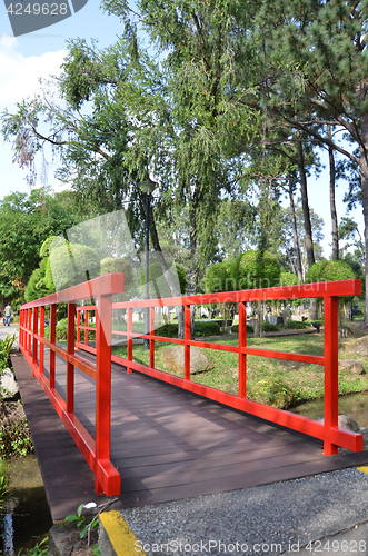 Image of Red bridge in Chinese Garden