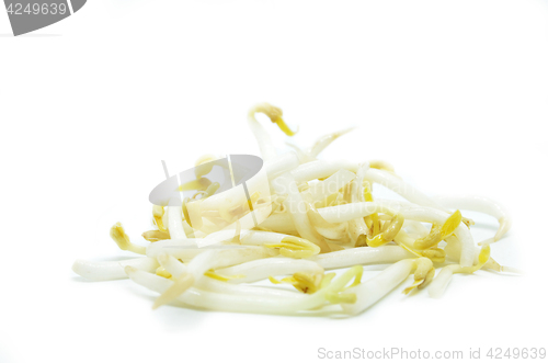 Image of Pile of bean sprouts