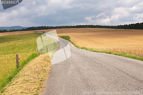 Image of Road through farmlands