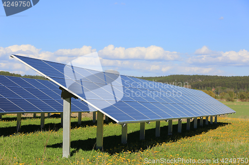 Image of Solar Panels on Sunny Flower Field