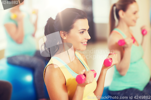 Image of happy pregnant women exercising on fitball in gym