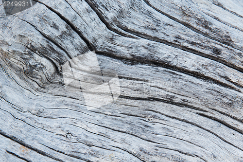 Image of close up of old weathered wooden board