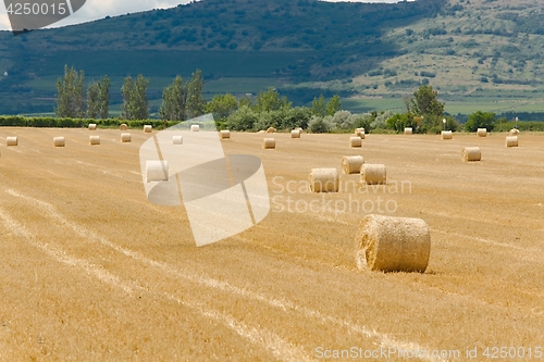 Image of Agricultural field with bales