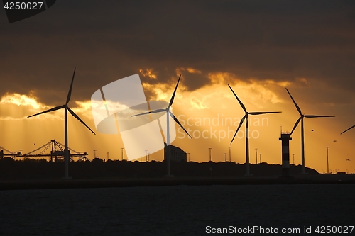 Image of Wind power turbines