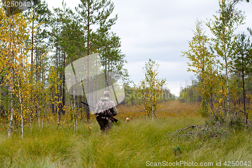 Image of hunter walking on the glade