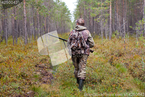 Image of hunter walking on the forest road