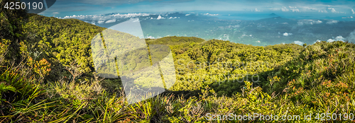 Image of Wilderness in North Sulawesi