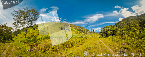 Image of Hiking in Trikora