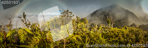 Image of Rainbow above forest