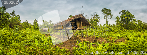 Image of Lonely wooden house