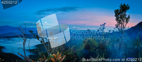 Image of Evening fog and darkness