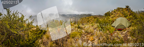 Image of Tent in nature