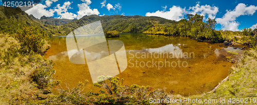 Image of Water in greenery