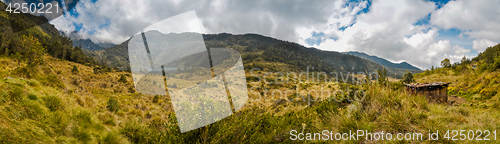 Image of Wilderness near Mount Wilhelm