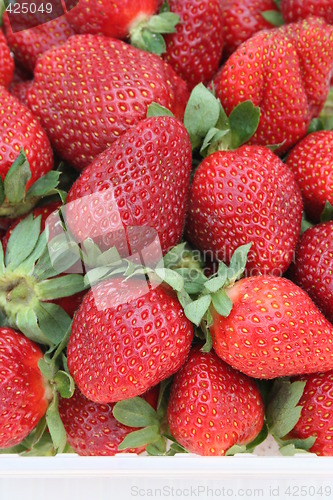 Image of Strawberries