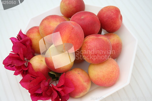 Image of Apricots