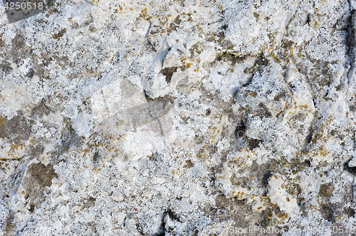 Image of Natural rock with lichen texture