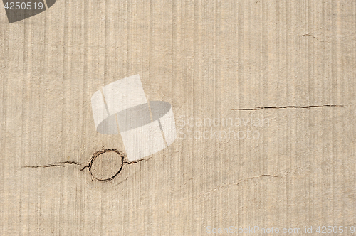 Image of Sawn wood planks, texture with natural pattern