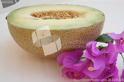 Image of Galia melon