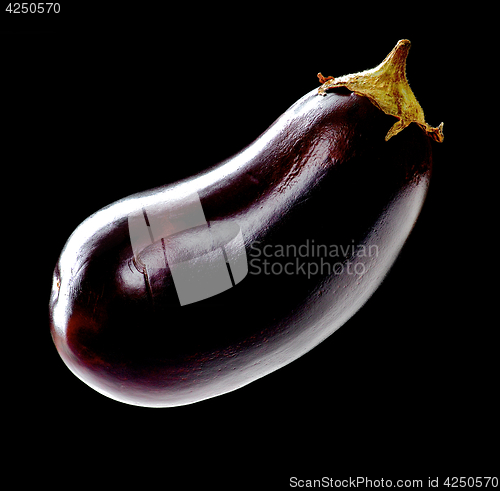 Image of Eggplant in Shadow