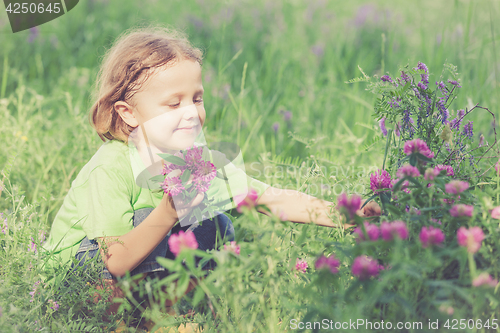 Image of Cute little boy  playing with flowers in  park