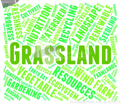 Image of Grassland Word Represents Environment Grassy And Prairie