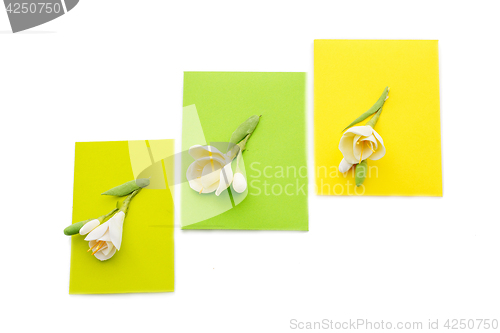 Image of Close up of three yellow envelope with flowers