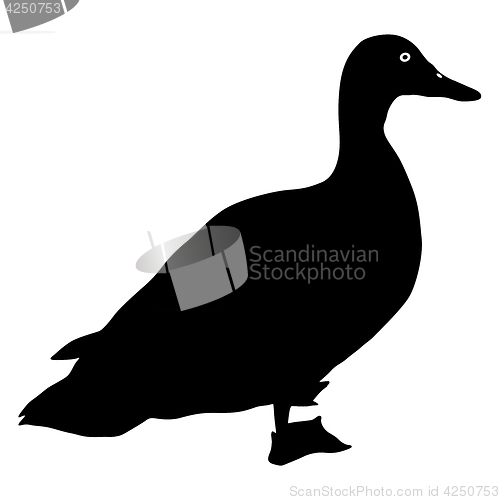 Image of Silhouette bird goose on a white background