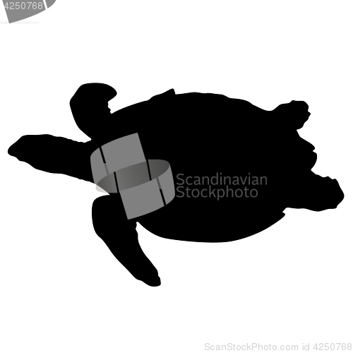 Image of Silhouette beautiful sea turtle on a white background