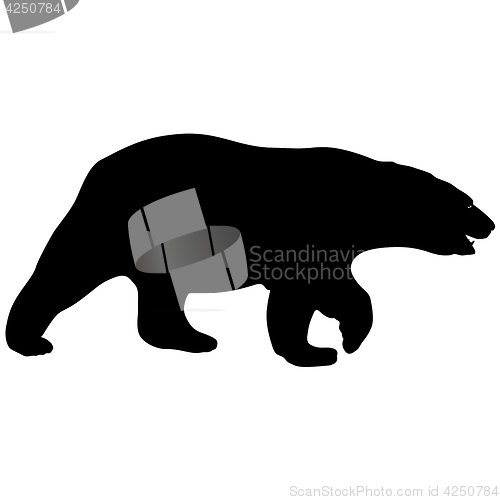 Image of Silhouette polar bear on a white background